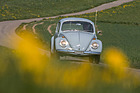 Artikelbild VW Käfer 1300 – und immer wieder kommt ein neuer Frühling